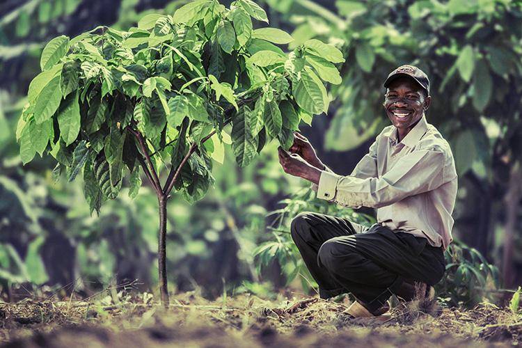 Cocoa farmers training & team on site