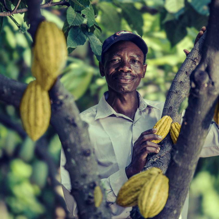 farmer in west africa plantation