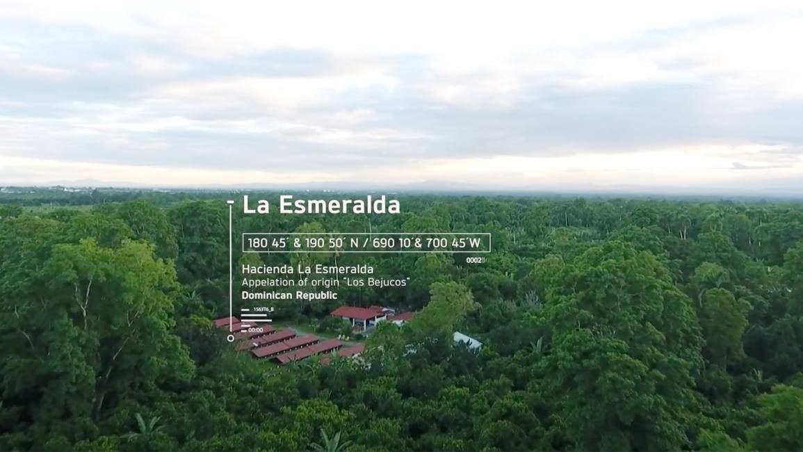 LA ESMERALDA 74%