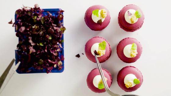 Beetroot and Zéphyr Macaron 